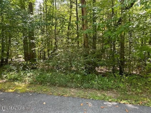 0 Ardell Way Lot 5/6, Cosby, TN 37722
