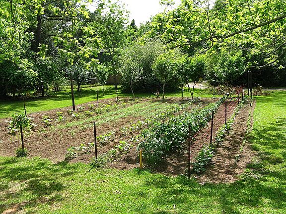 Room for your garden