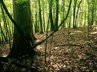 Echo Hills Rd, Shawsville, VA 24162