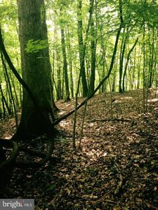 Echo Hills Rd, Shawsville, VA, 24162