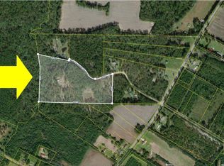 335 Papillon Ln, Round O, SC 29474