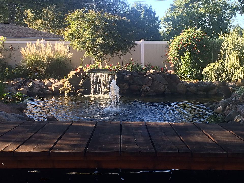 Beautiful park-like backyard