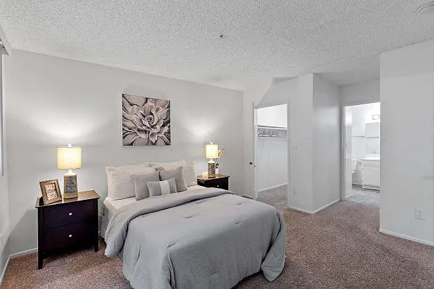 Spacious and upgraded primary bedroom with walk-in closet and an attached bathroom