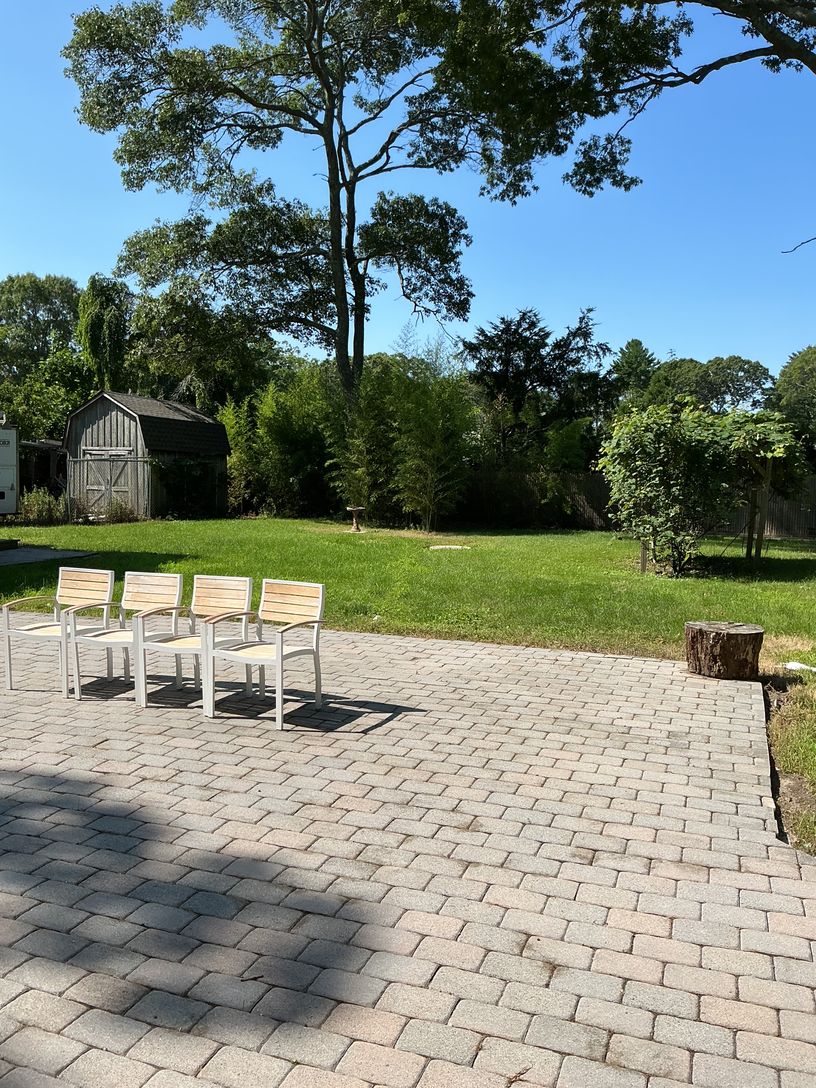 Backyard view from house