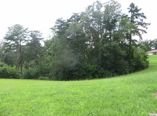3109 Renee Dr, Kodak, TN 37764