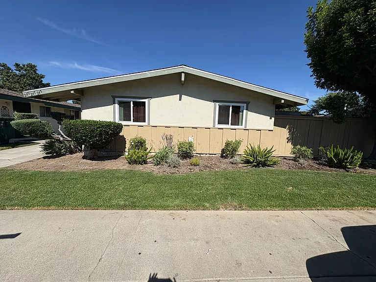 tup245 — Photo 1