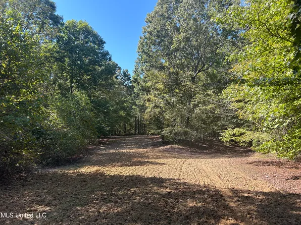 Hunter Creek Rd, Oakland, MS 38948