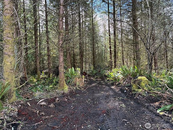 5th image of 28840 Freelane Road