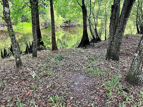 Shingle Creek Shore Line