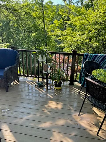 73 E Shore Dr — Photo 3