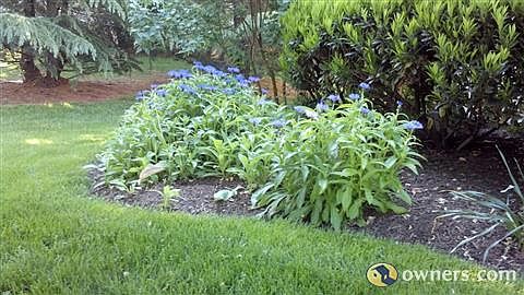 Front Garden
