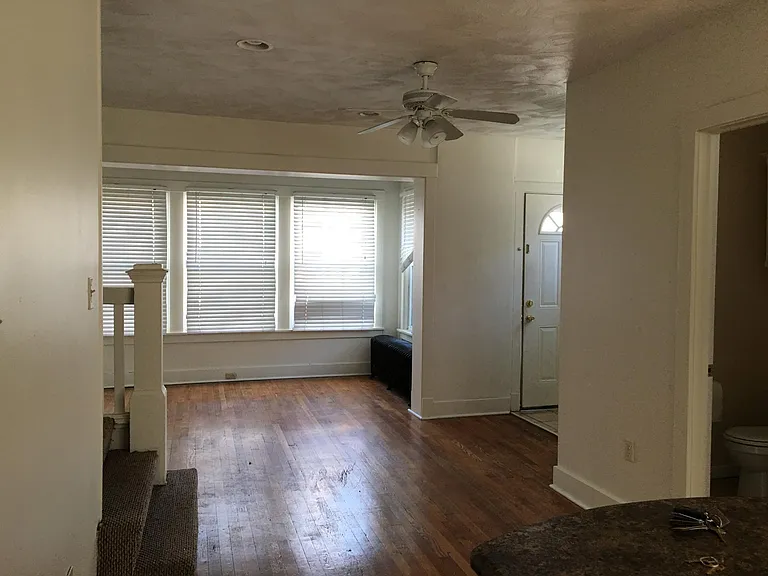 Living room and entrance