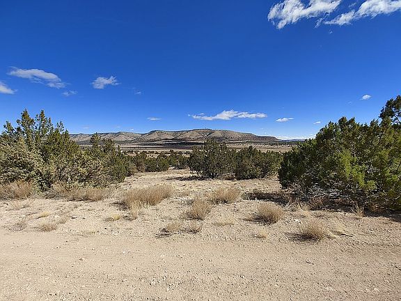 4th image of 54670 N Paintbrush Ln