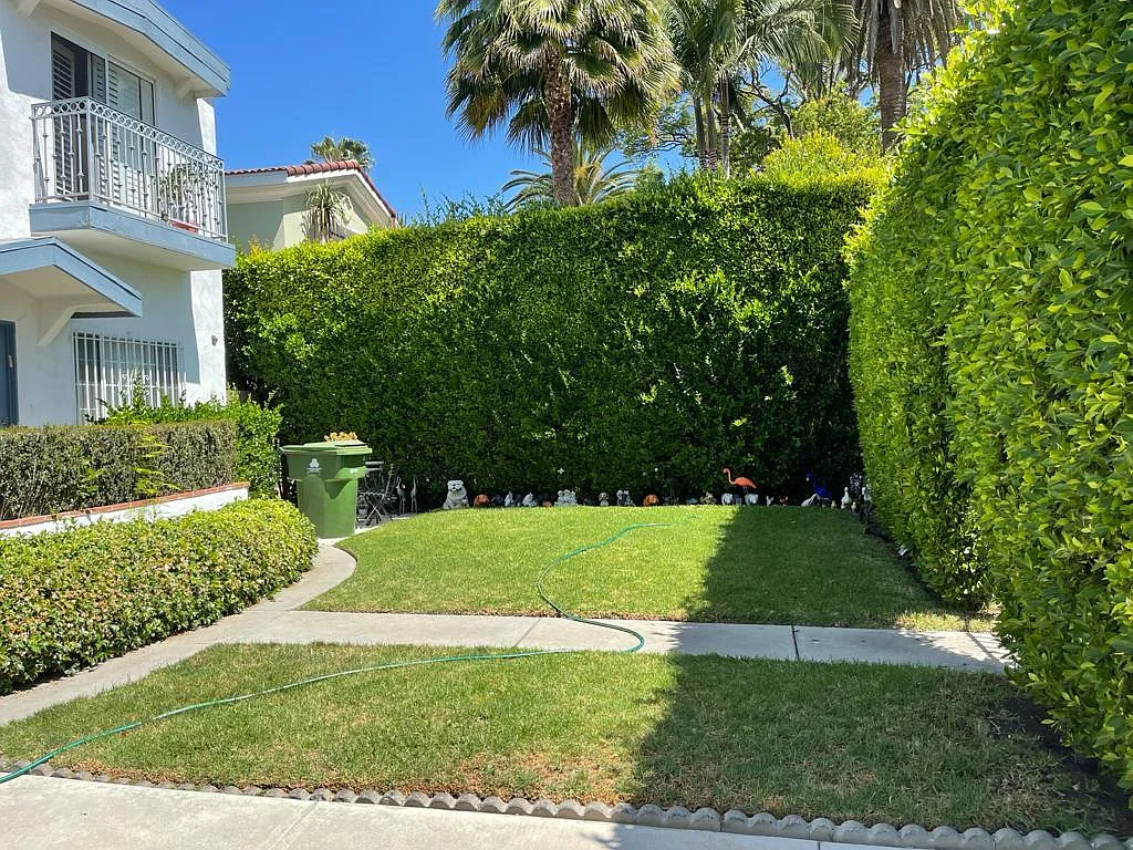 2 bed, 1000 sqft, $3,500 — Photo 3