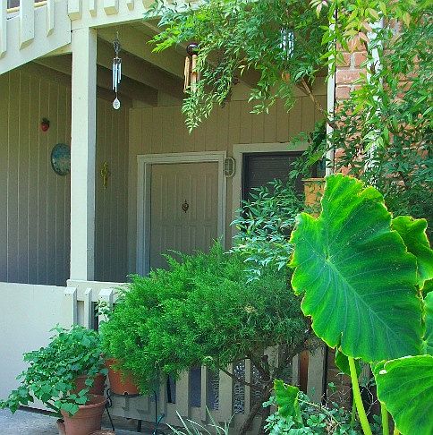 Large covered patios