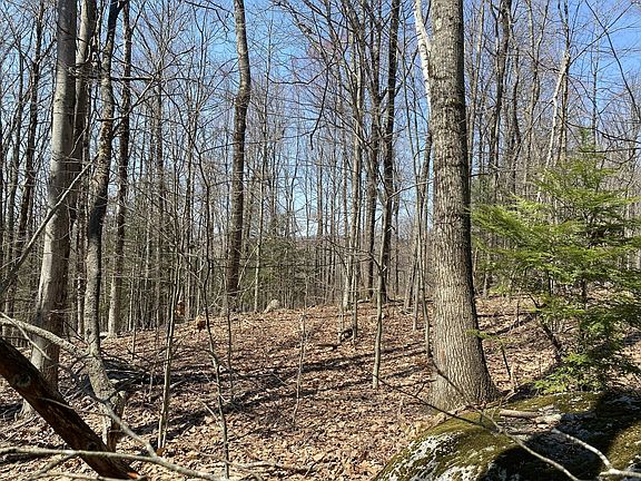 3rd image of 15 Colebrook River Rd