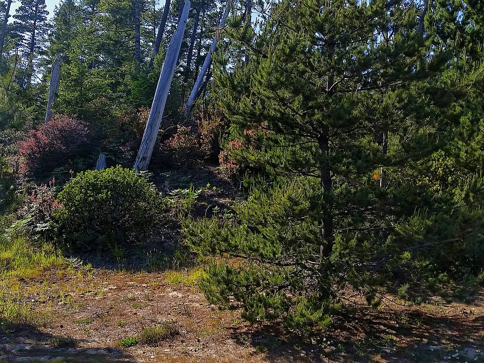 2nd image of Pine Ridge Lot #4