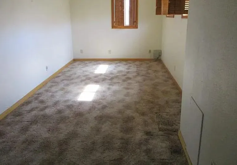 348 Hilltop St — Photo 6