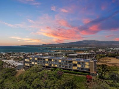 493 Pio Dr APT 309, Wailuku, HI, 96793