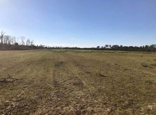 1044 Blue Springs Rd, Sylvester, GA 31791