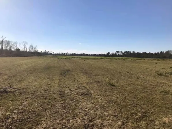 1044 Blue Springs Rd, Sylvester, GA 31791