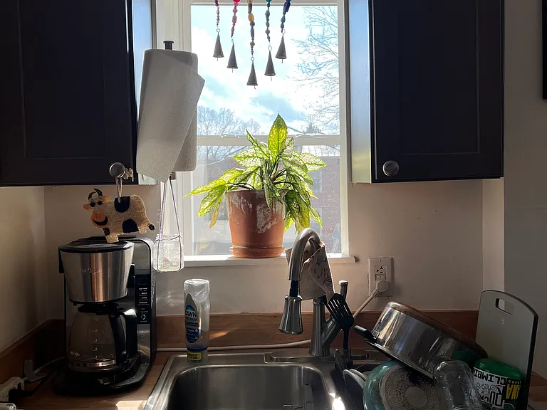 700 Hinton Ave #C — Photo 5