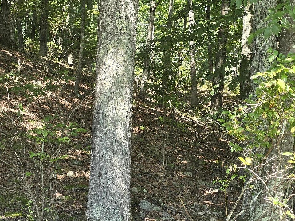 1st image of 3 Renee Dr