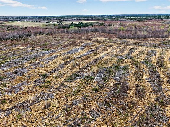 5th image of LOT Perry Rd