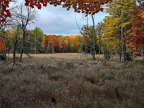 3rd image of 28914 Brozie Road