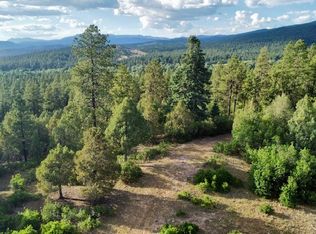Owls 1 Blue Spruce, Chama, NM 87520