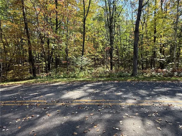 XXX Deep Lake Road, Sarona, WI 54870