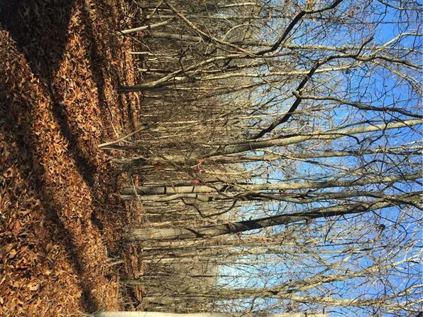 Purfleet Dr, Bella Vista, AR 72715