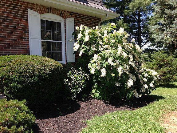 2nd image of 1410 Golf Manor Dr