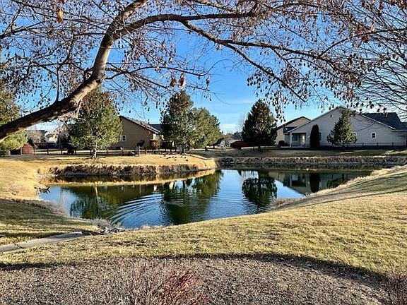 Pond in the front of the house with ducks!