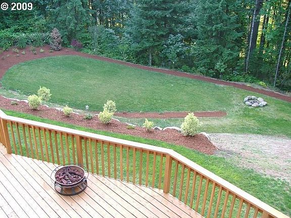 Back yard view