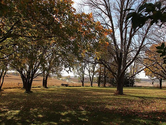 South side yard