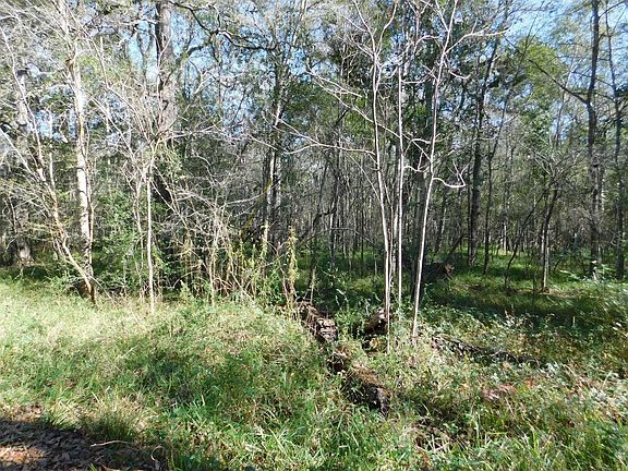 3rd image of 0 Brazos River Rd