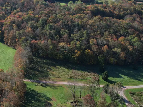 Lot 10 Timber Drive Road, Cochecton, NY 12726