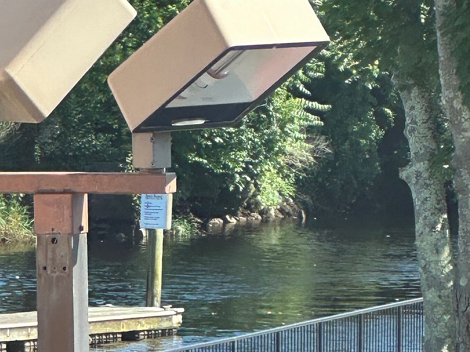 River view close-up