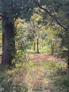 2572 Freshwater Rd #Haw, Haw River, NC, 27258