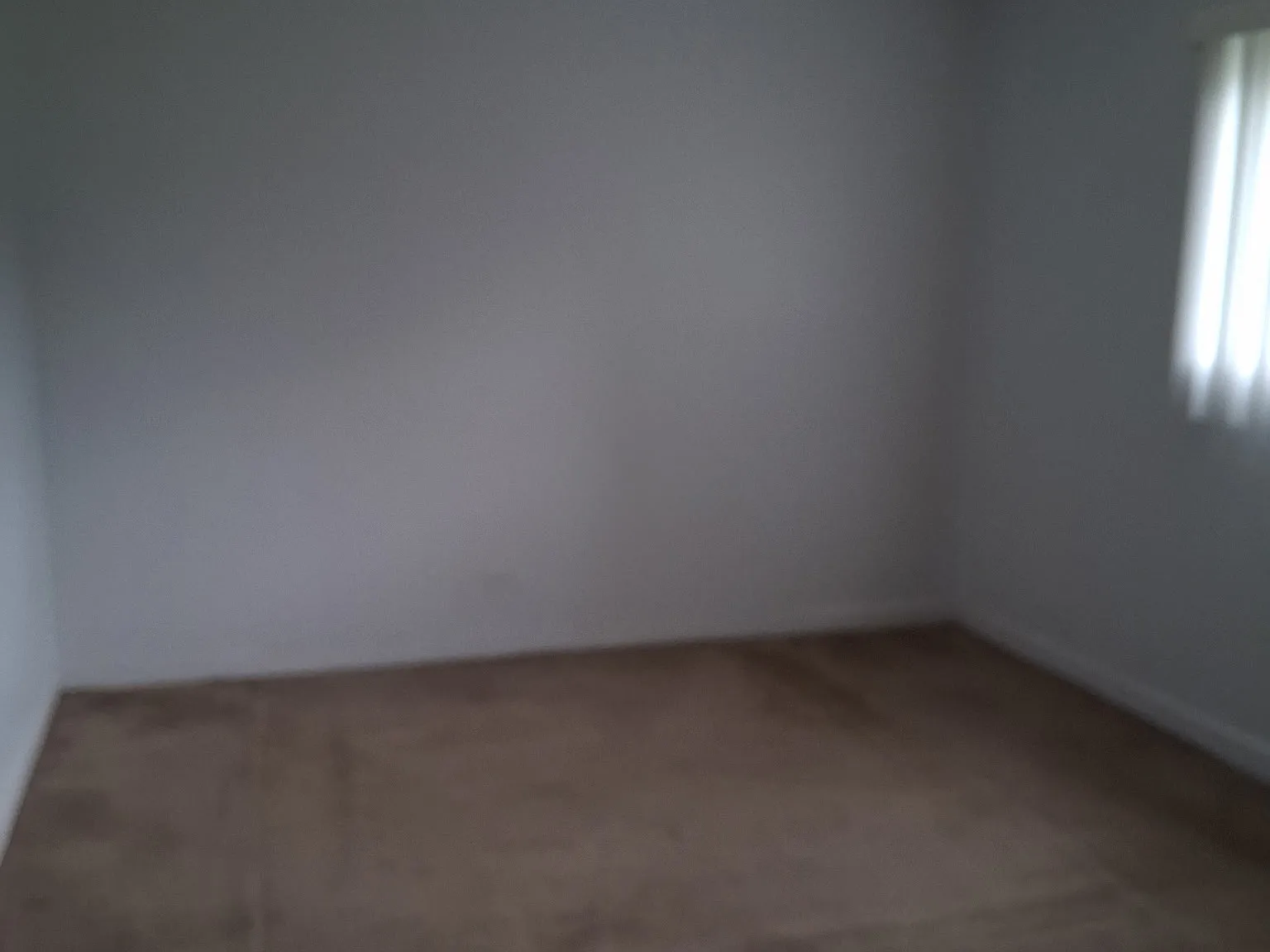 2 bed, 1090 sqft, $1,900 — Photo 3