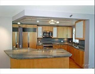 3rd image of 195 N Harbor Dr APT 4103