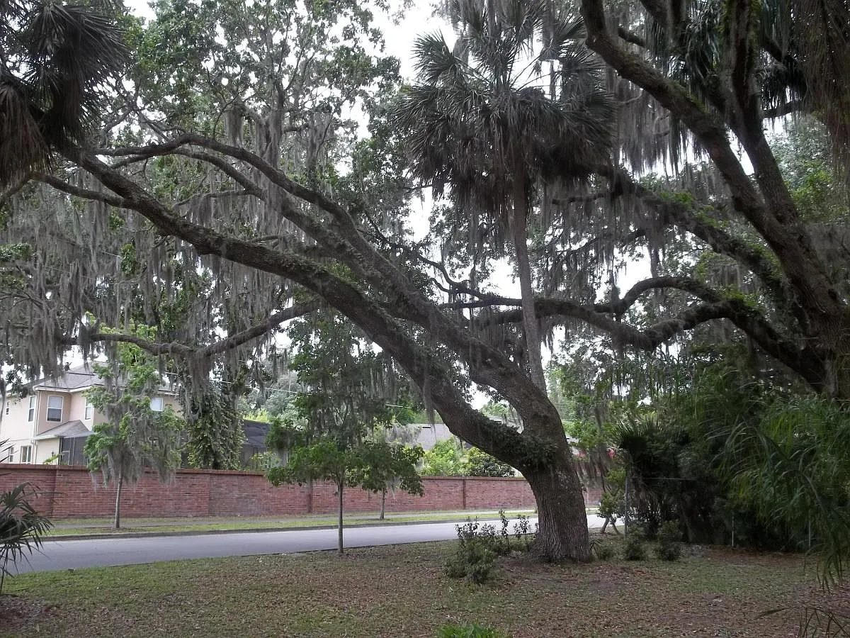 2 bed, 2000 sqft, $2,240 — Photo 4