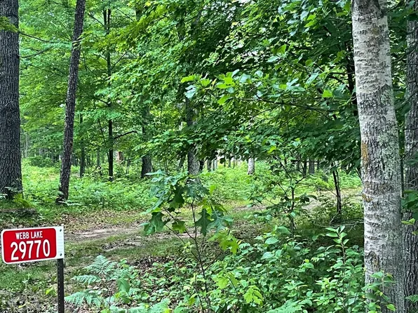29770 Little Bear Dr, Danbury, WI 54830