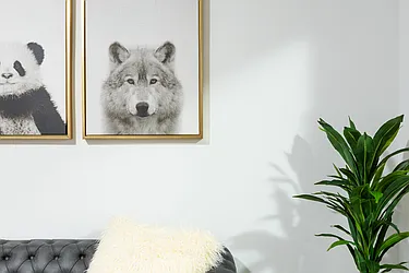 Rented by Finest Furnished LLC