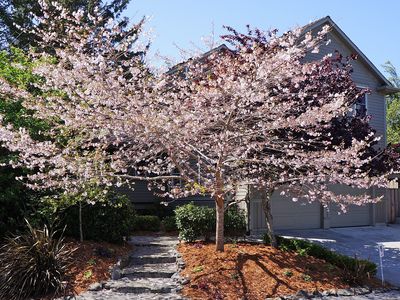 2160 Irving Dr, Eureka, CA, 95503