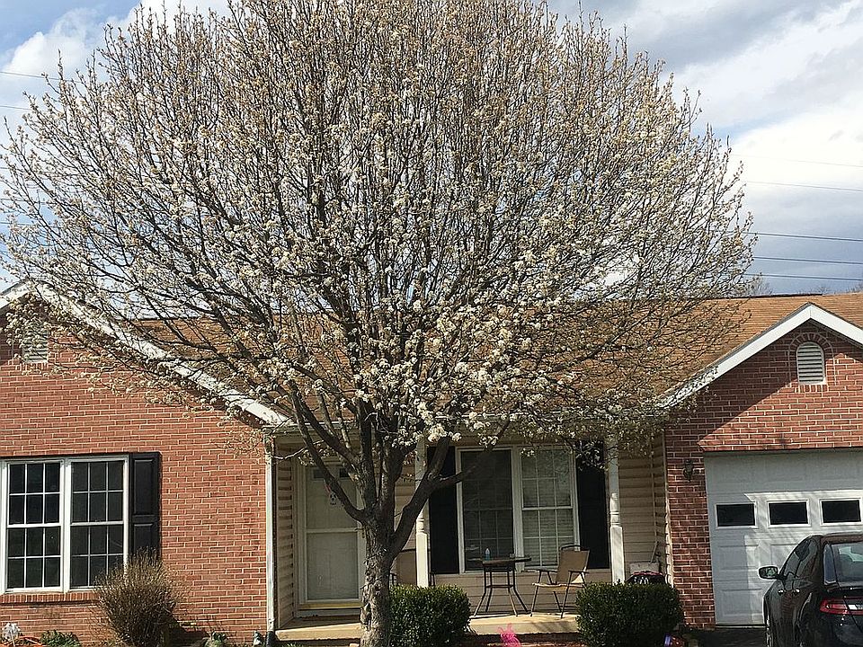 Lost the tree due to a storm