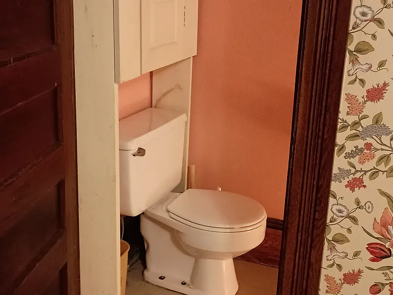 Bonus WC (1st floor to basement)
