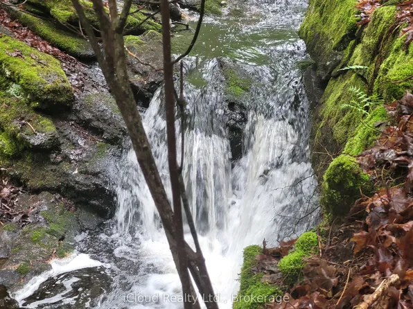 1191 Odessa Trl, Dysart Et Al, ON K0M 1S0