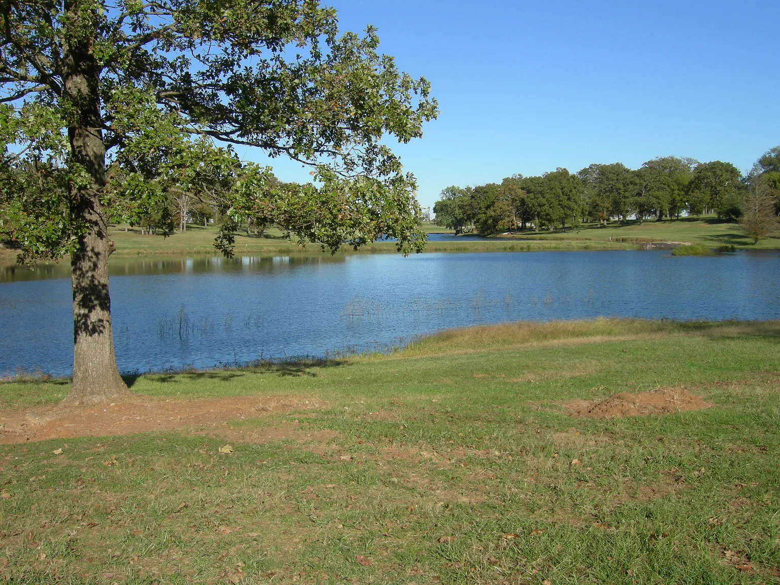County Road 1103, Sulphur Springs — Photo 2